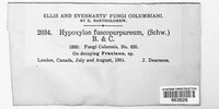 Hypoxylon fuscopurpureum image